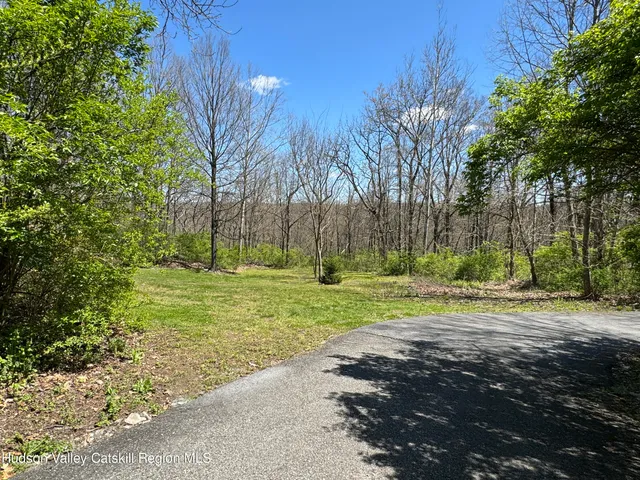 a view of a park with large trees