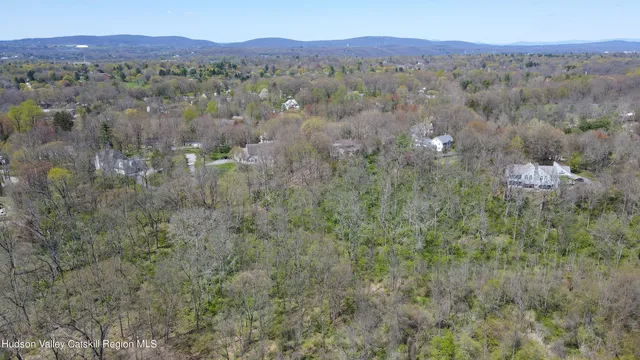 a view of a forest with mountains in the background