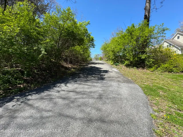 a view of a yard with plants and trees