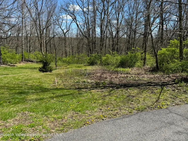 a view of a yard with large trees