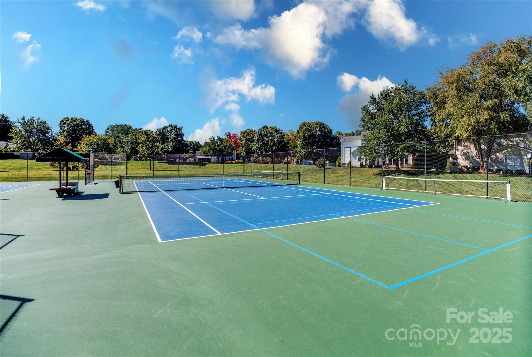 18673 Vineyard Point Lane Cornelius, NC 28031 - Photo 23 of 29 a view of a tennis court