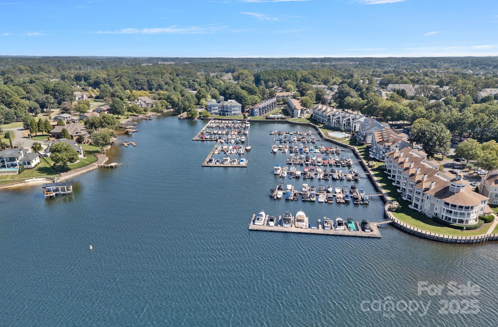 18673 Vineyard Point Lane Cornelius, NC 28031 - Photo 28 of 29 an aerial view of residential house with outdoor space and trees all around