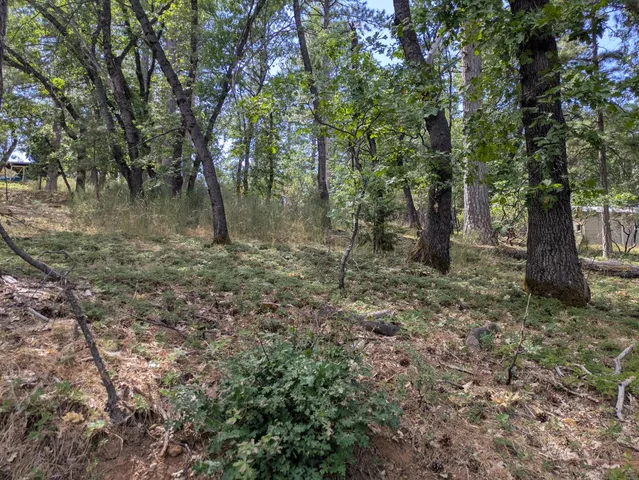 $64,000 | 0 Gardella Lane, Camino, CA 95709