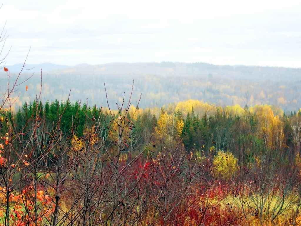 Lot 16 Rte 11 Patten, ME 04765 - Photo 23 of 32 patten-me-land-zannini-11
