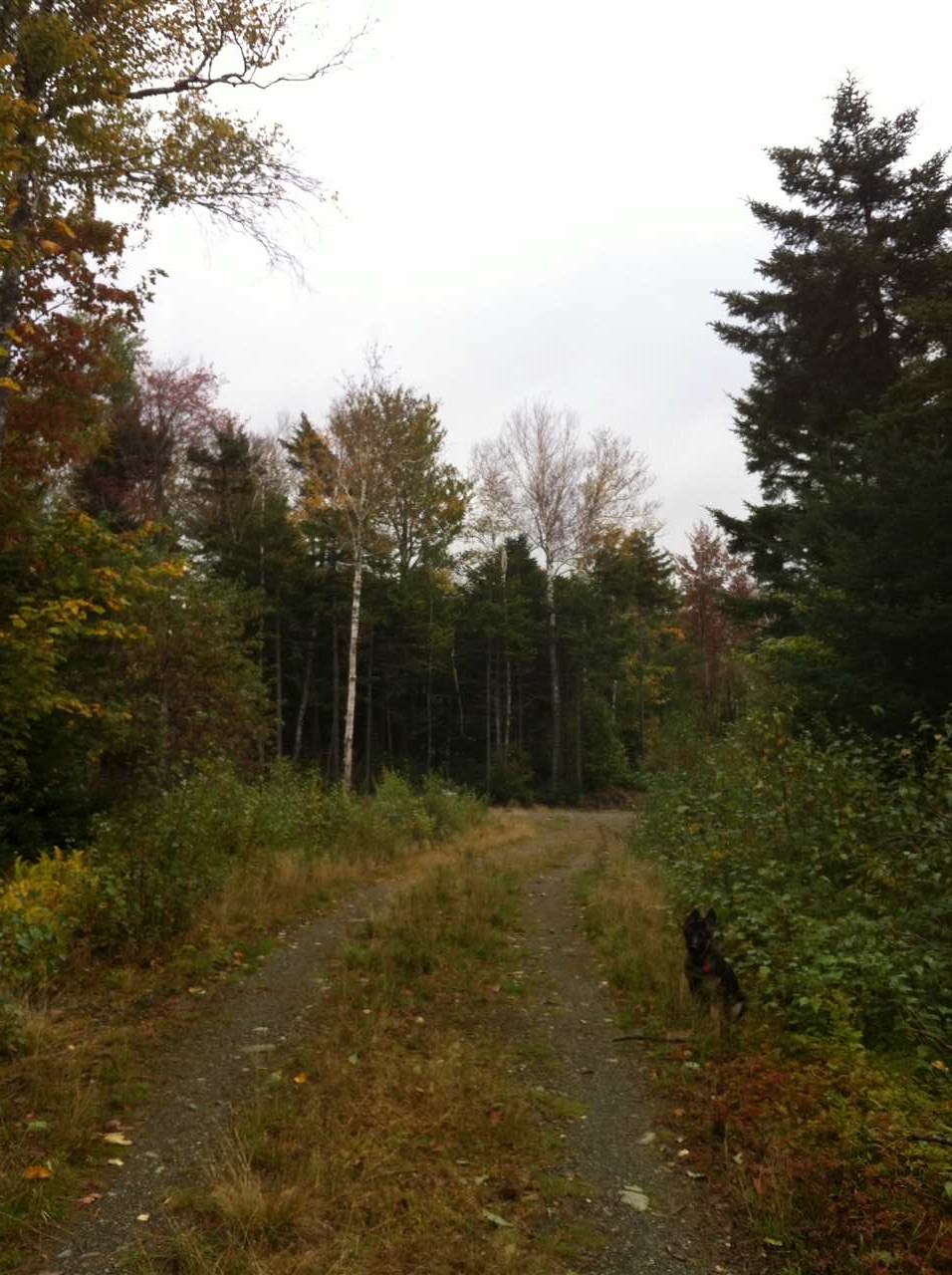 3 F Westover Road Jay, VT 05859 - Photo 1 of 2 Gallery Image 1
