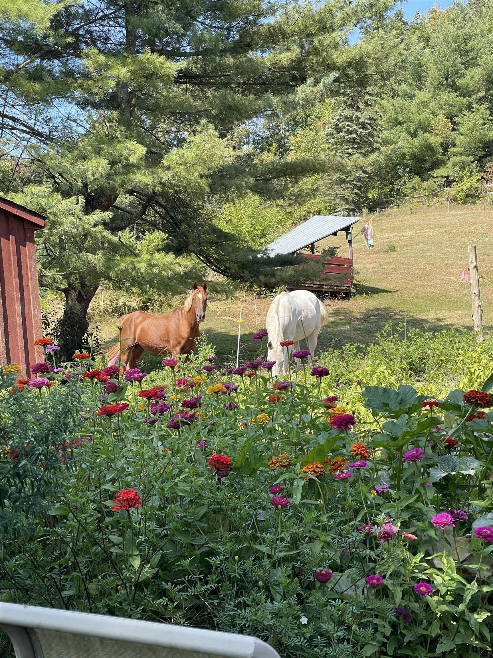 736 Pleasant Street Newport, VT 05855 - Photo 5 of 58