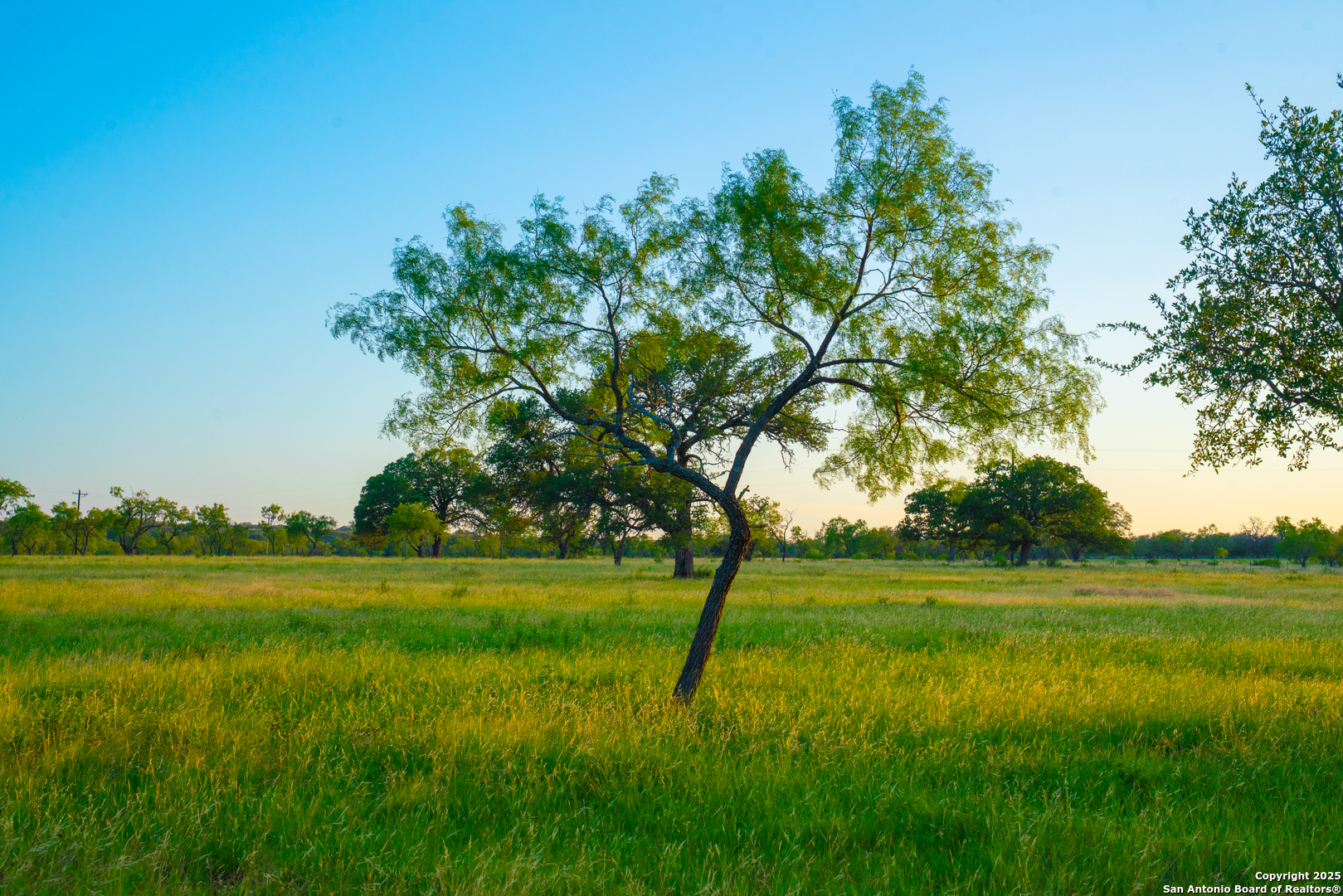 0 Golden Hour Ranch Johnson City, TX 78636 - Photo 11 of 15 a view of a grassy field with trees