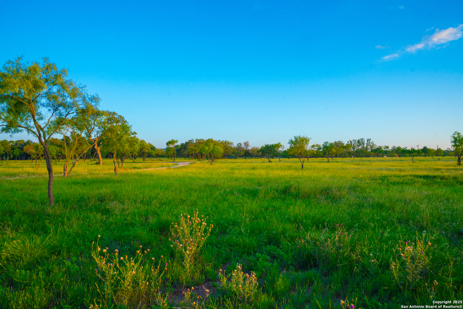 0 Golden Hour Ranch Johnson City, TX 78636 - Photo 12 of 15 a view of yard and ocean