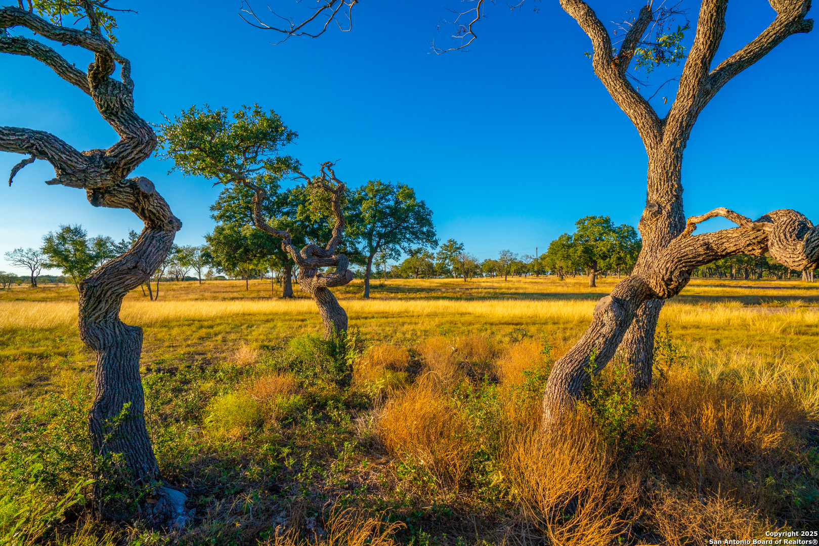 0 Golden Hour Ranch Johnson City, TX 78636 - Photo 13 of 15 a view of a yard with an outdoor space