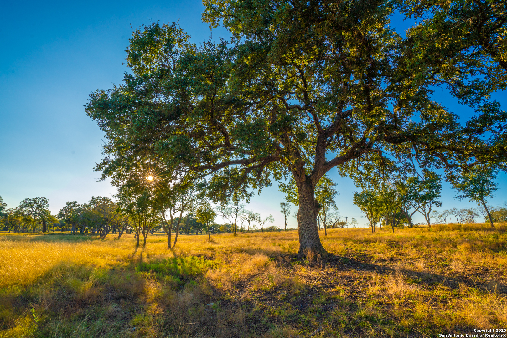 0 Golden Hour Ranch Johnson City, TX 78636 - Photo 14 of 15
