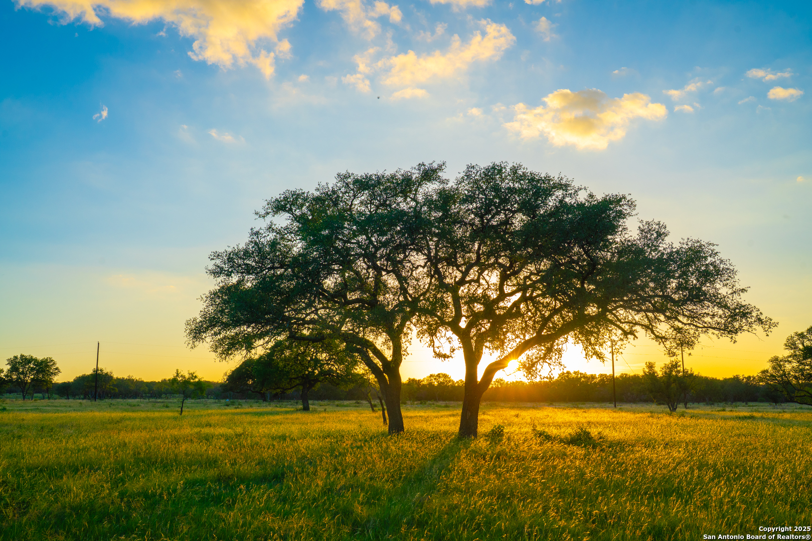 0 Golden Hour Ranch Johnson City, TX 78636 - Photo 2 of 15 a view of yard with ocean and trees