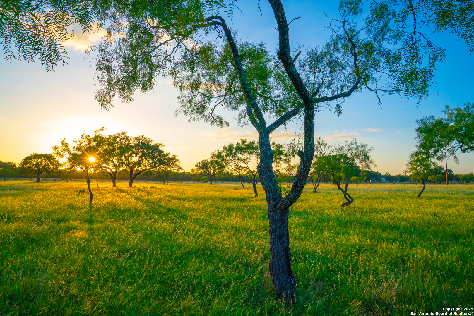 0 Golden Hour Ranch Johnson City, TX 78636 - Photo 3 of 15 a view of an outdoor space and swimming pool