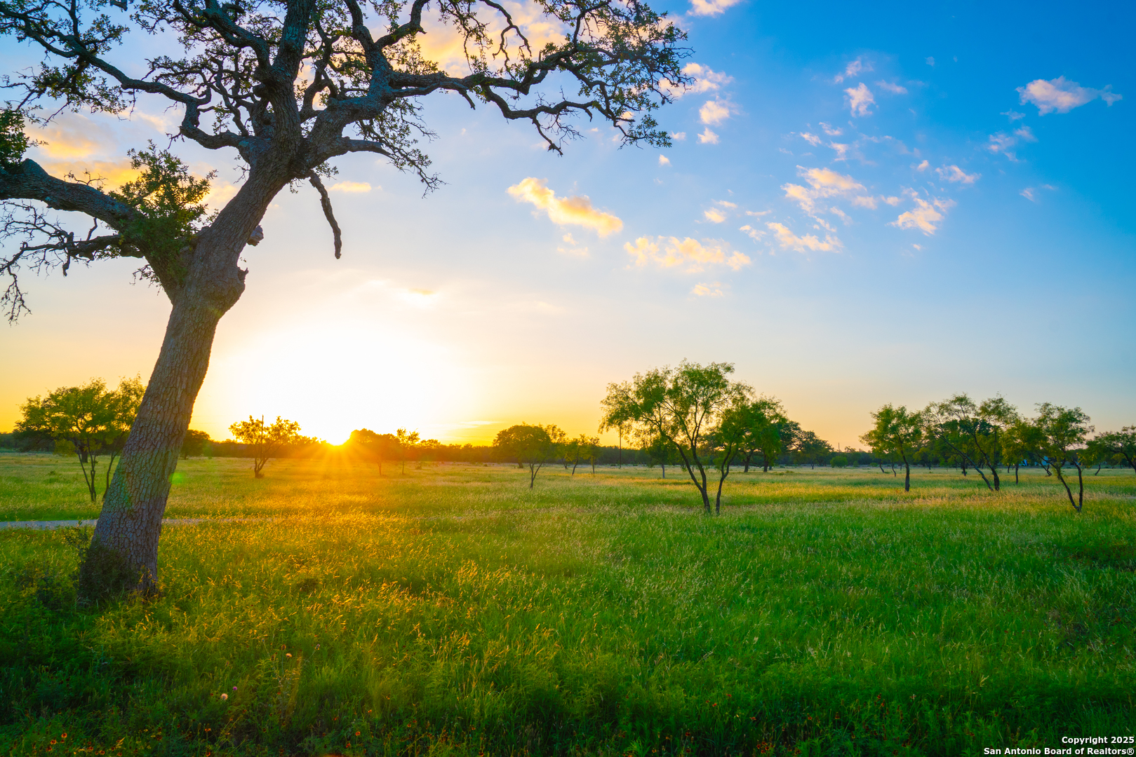 0 Golden Hour Ranch Johnson City, TX 78636 - Photo 4 of 15 a view of yard with an ocean view