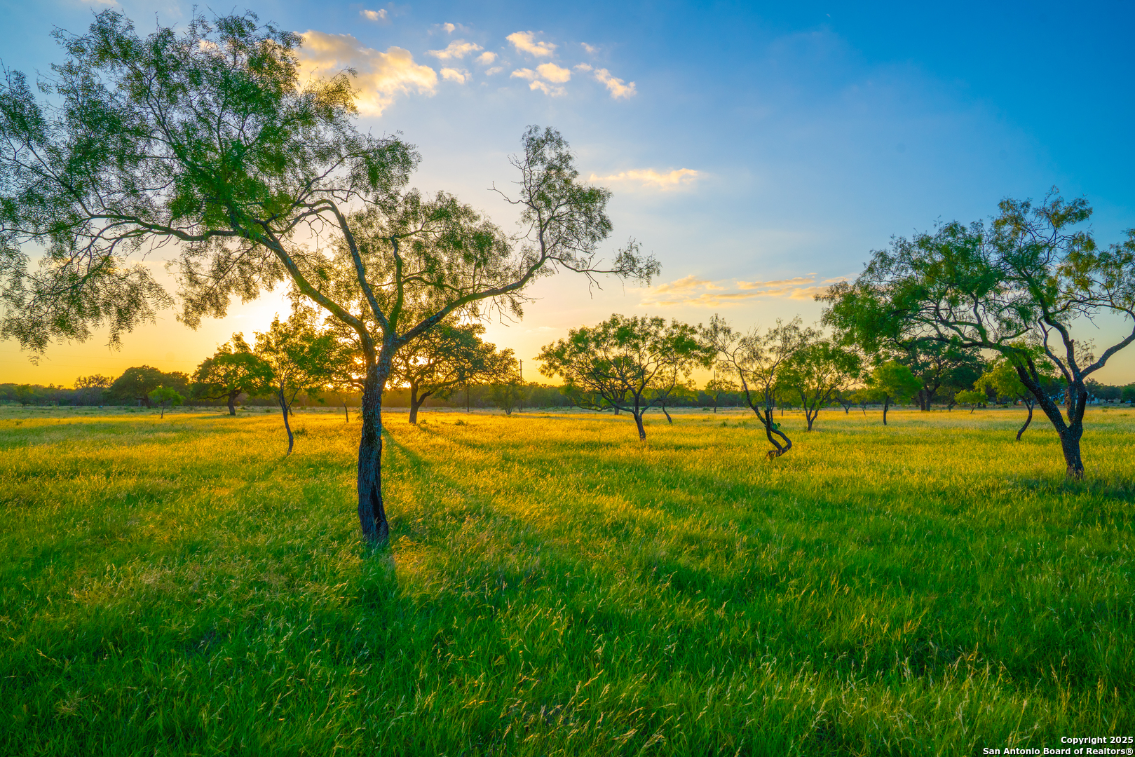 0 Golden Hour Ranch Johnson City, TX 78636 - Photo 6 of 15 a view of a yard with a tree
