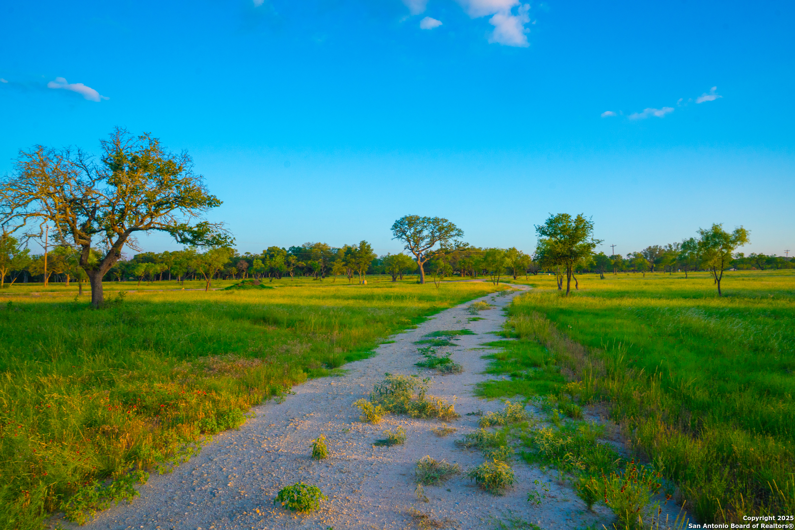 0 Golden Hour Ranch Johnson City, TX 78636 - Photo 8 of 15 a view of a golf course with a lake
