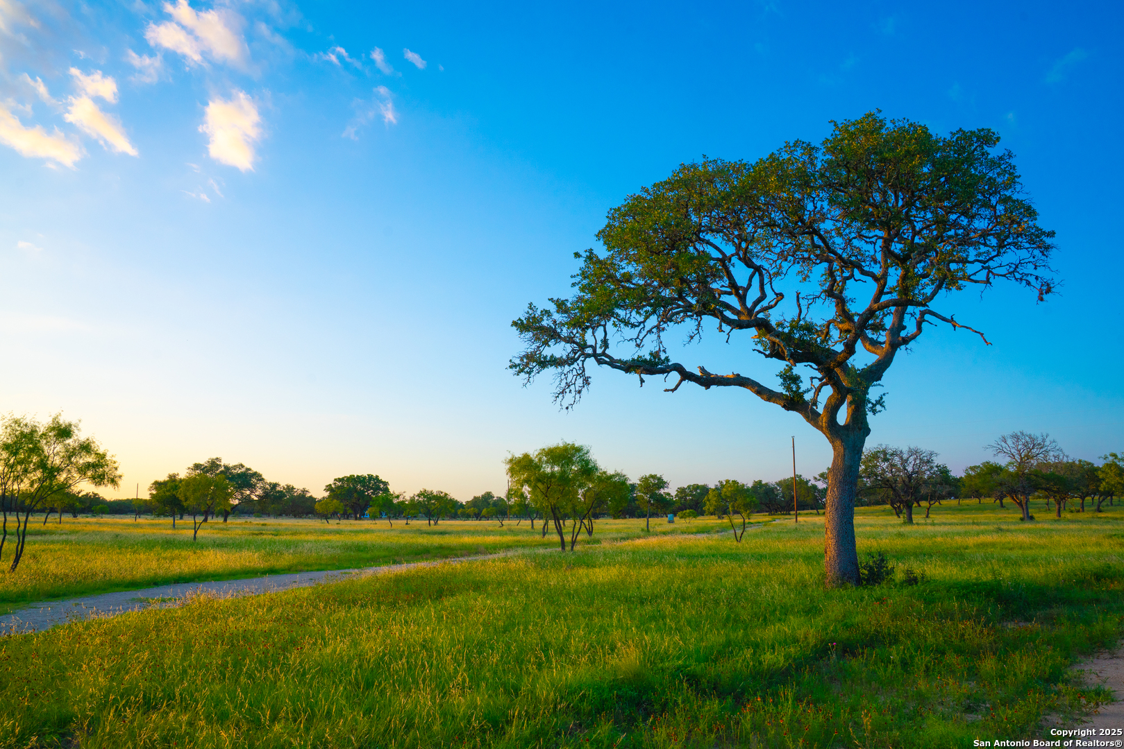 0 Golden Hour Ranch Johnson City, TX 78636 - Photo 10 of 15 a view of a golf course with a lake view