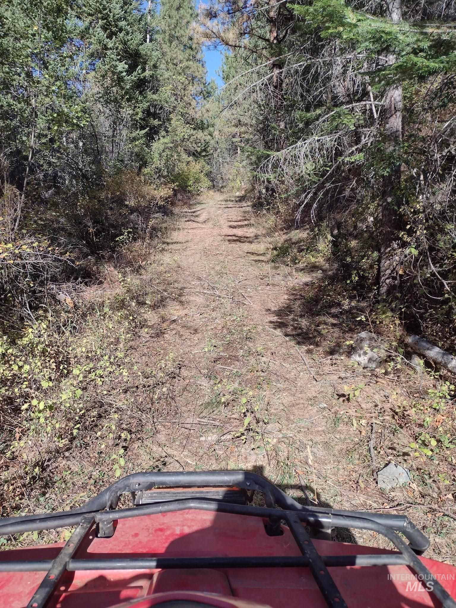 480 Burnt Crk Road Cottonwood, ID 83522 - Photo 11 of 18 View of road featuring a forest view