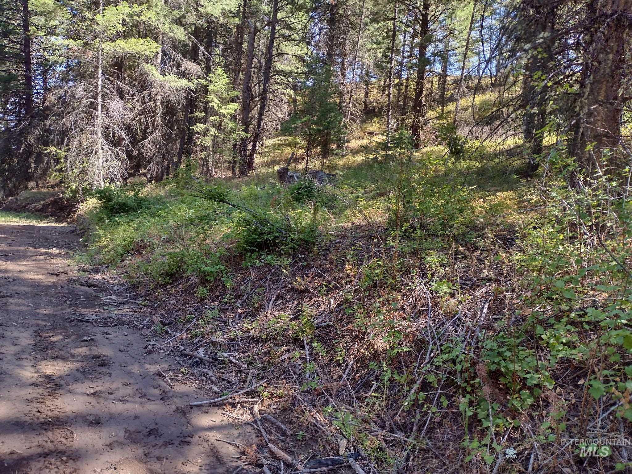 480 Burnt Crk Road Cottonwood, ID 83522 - Photo 14 of 18 View of wooded area