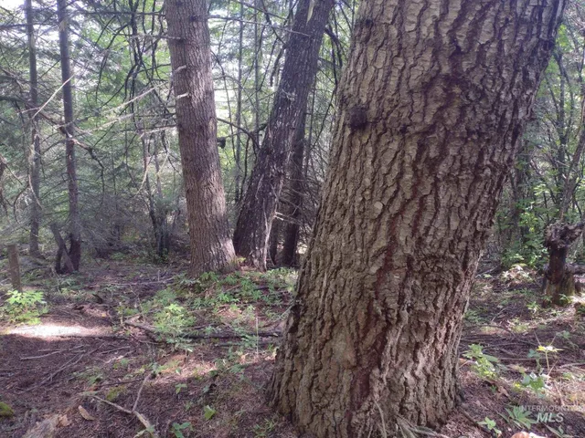 $125,000 | 480 Burnt Crk Road, Cottonwood, ID 83522