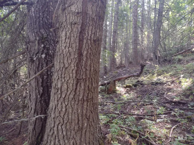 $125,000 | 480 Burnt Crk Road, Cottonwood, ID 83522