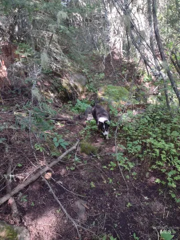 $125,000 | 480 Burnt Crk Road, Cottonwood, ID 83522