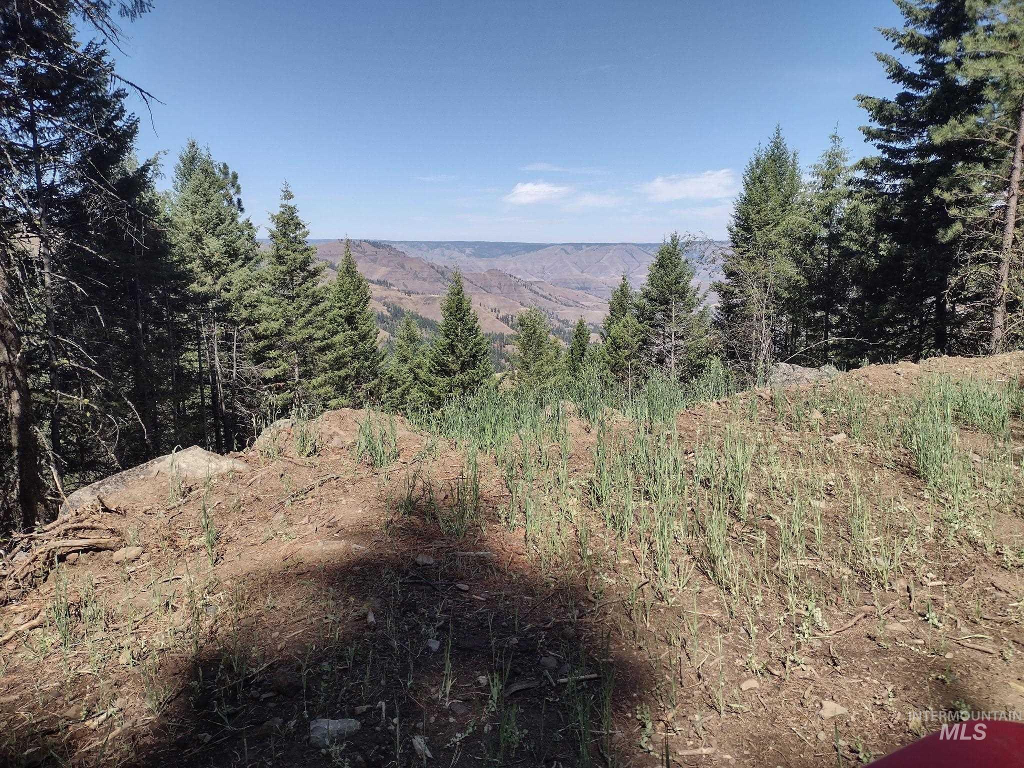 480 Burnt Crk Road Cottonwood, ID 83522 - Photo 2 of 18 View of mountain backdrop with a heavily wooded area