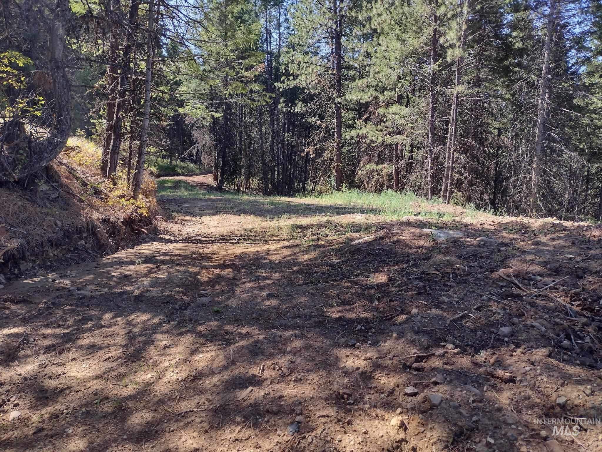 480 Burnt Crk Road Cottonwood, ID 83522 - Photo 3 of 18 View of road with a view of trees