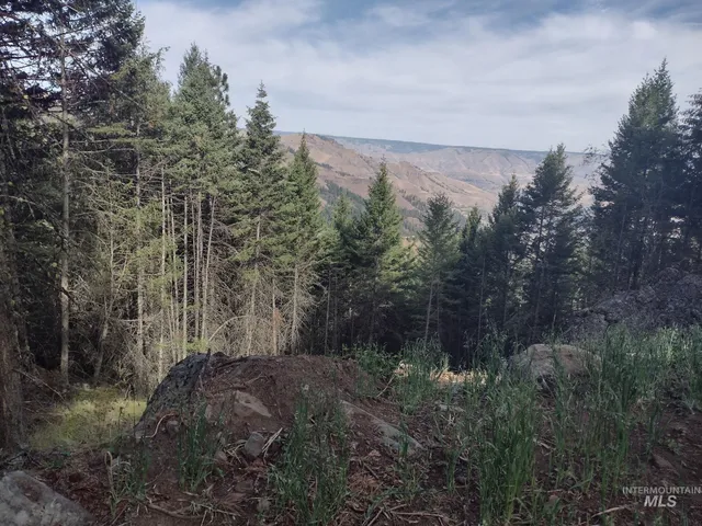 $125,000 | 480 Burnt Crk Road, Cottonwood, ID 83522