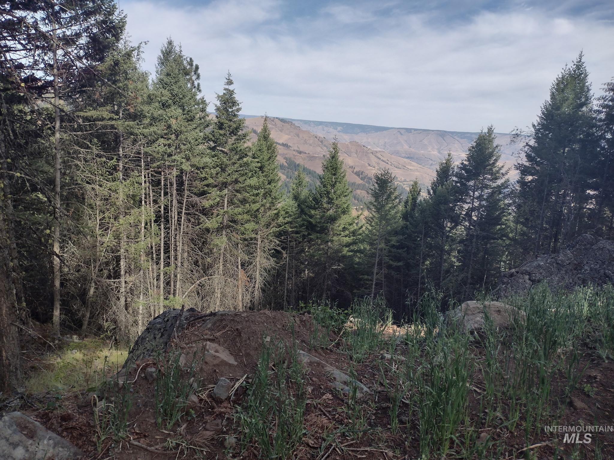 480 Burnt Crk Road Cottonwood, ID 83522 - Photo 4 of 18 View of mountain backdrop with a forest