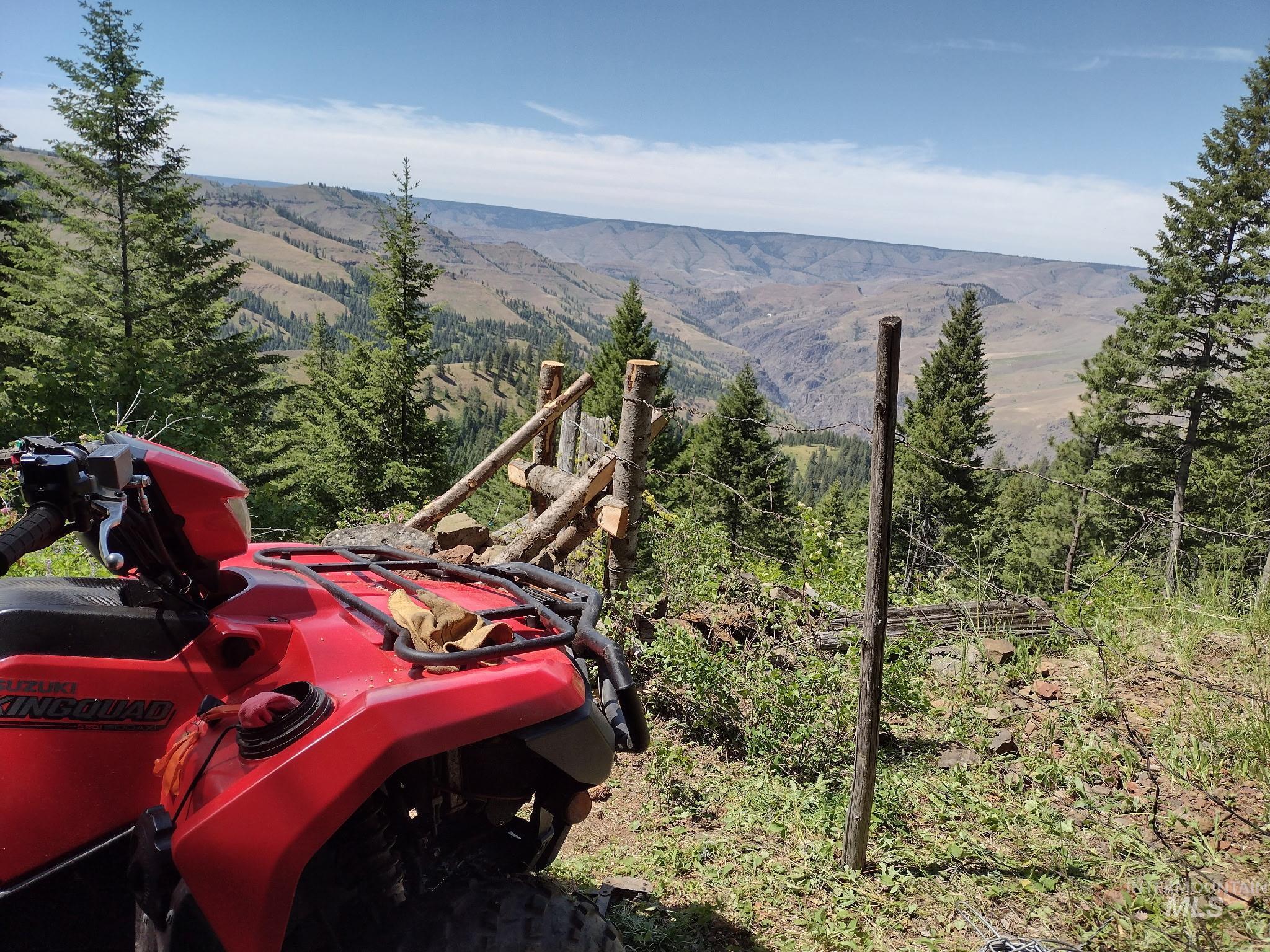 480 Burnt Crk Road Cottonwood, ID 83522 - Photo 5 of 18 View of mountain background with a heavily wooded area