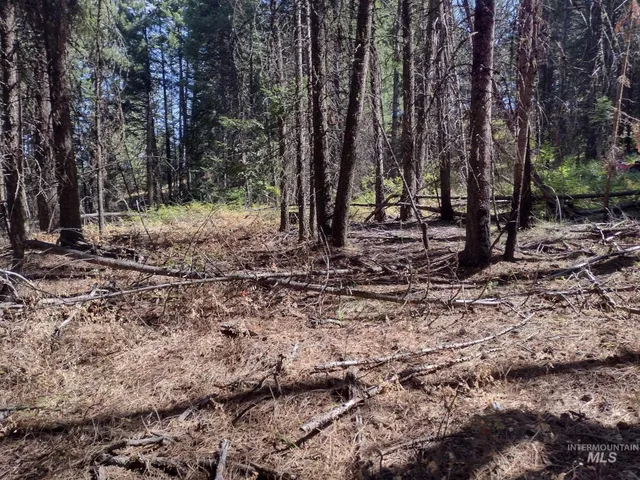 $125,000 | 480 Burnt Crk Road, Cottonwood, ID 83522