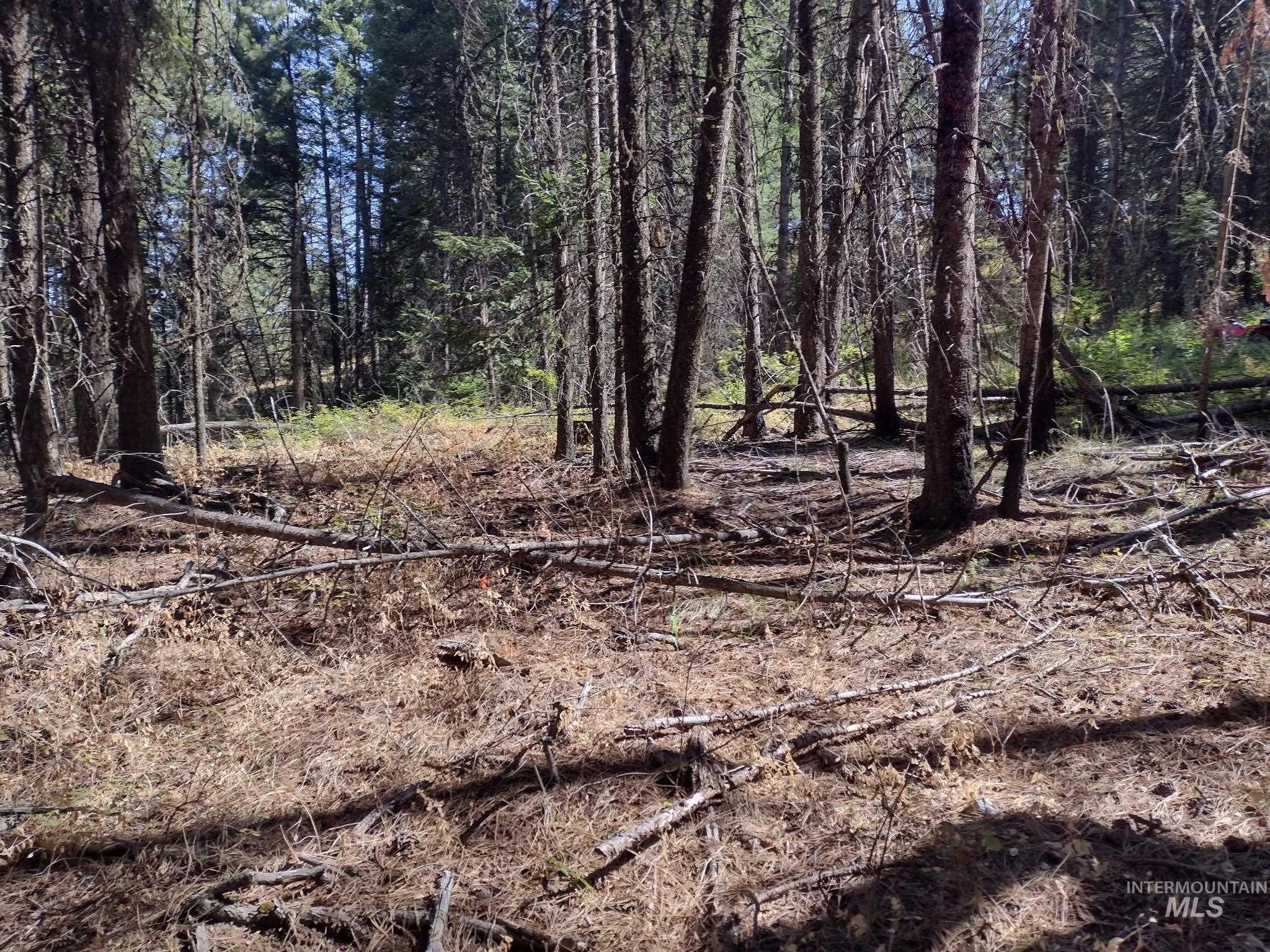 480 Burnt Crk Road Cottonwood, ID 83522 - Photo 7 of 18 View of nature