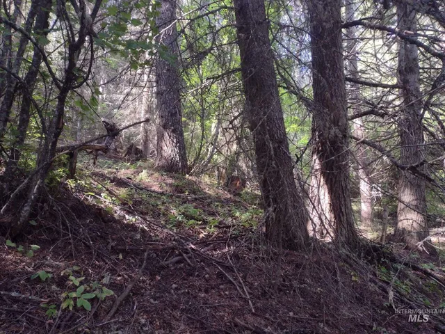 $125,000 | 480 Burnt Crk Road, Cottonwood, ID 83522