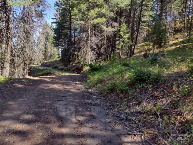 $125,000 | 480 Burnt Crk Road, Cottonwood, ID 83522