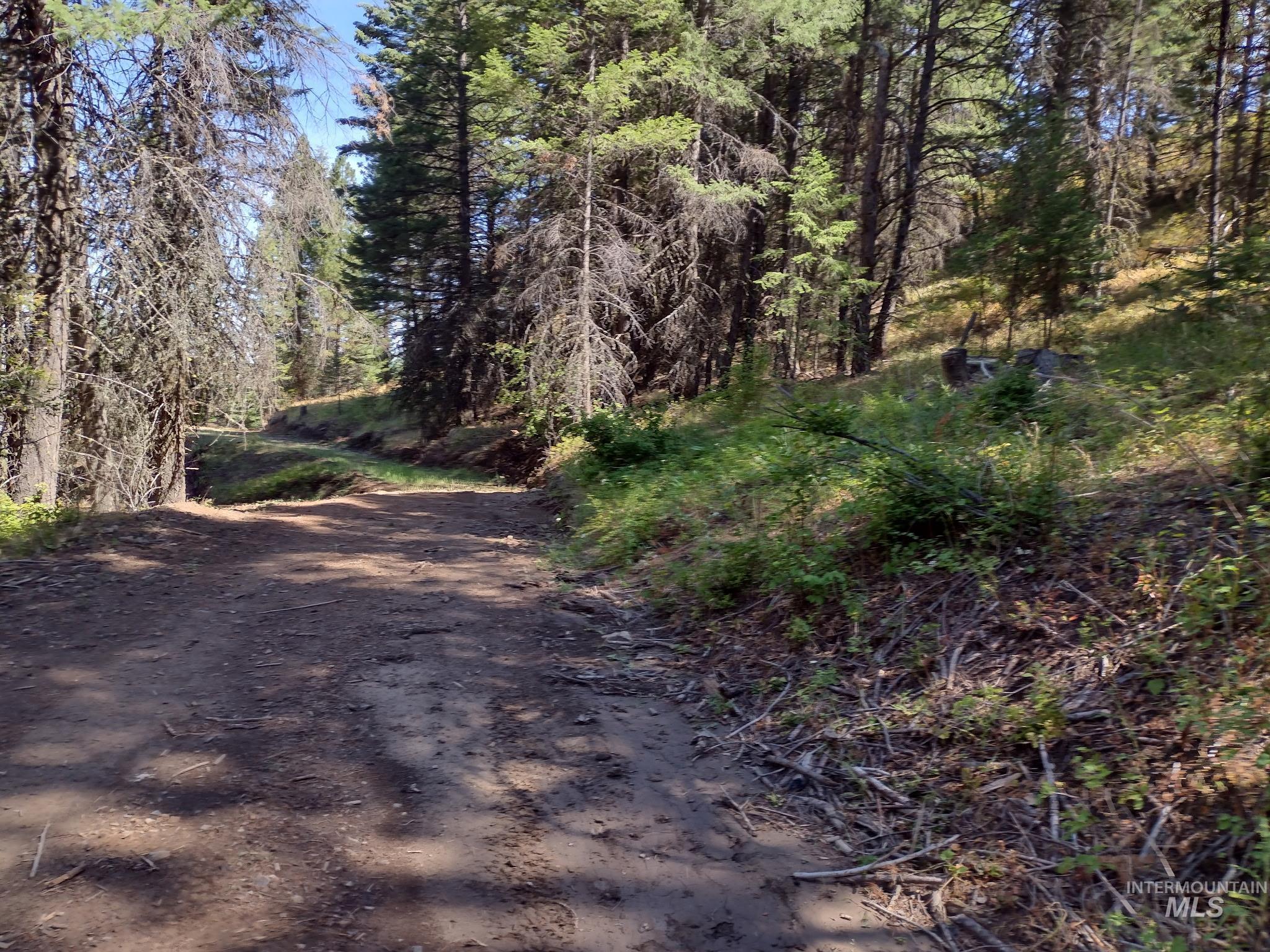 480 Burnt Crk Road Cottonwood, ID 83522 - Photo 10 of 18 View of road with a wooded view