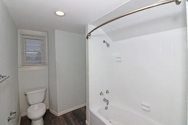 a bathroom with a toilet and a bathtub