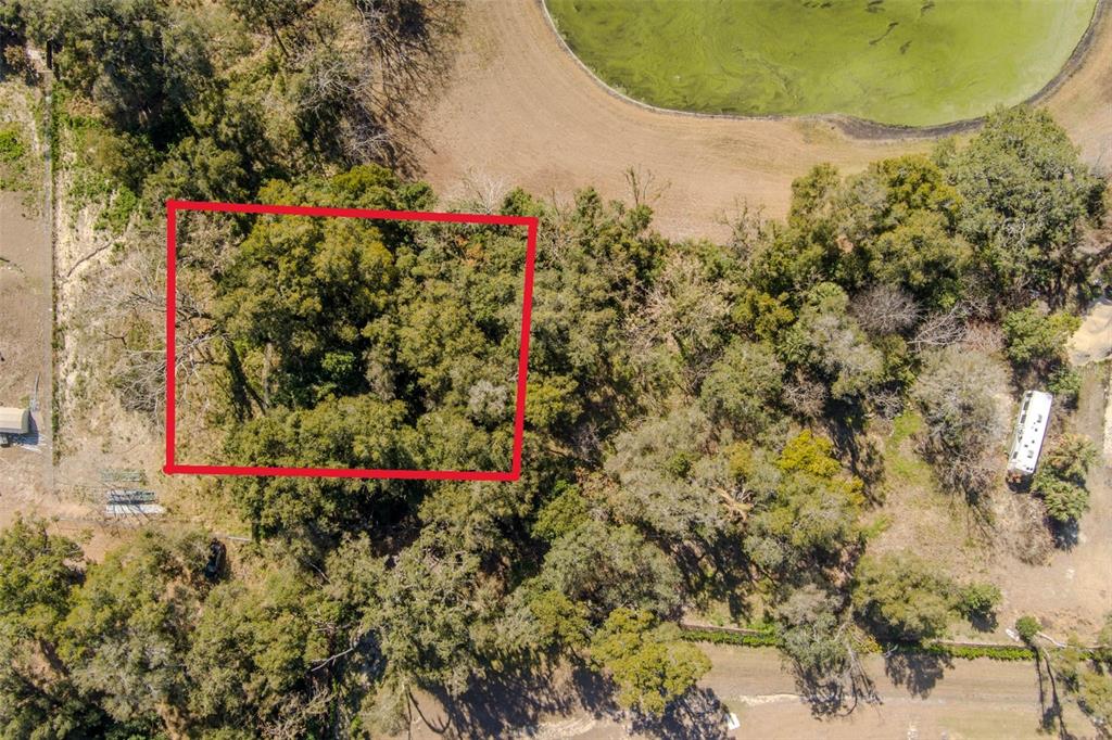 152 Saunders Street Apopka, FL 32703 - Photo 9 of 23