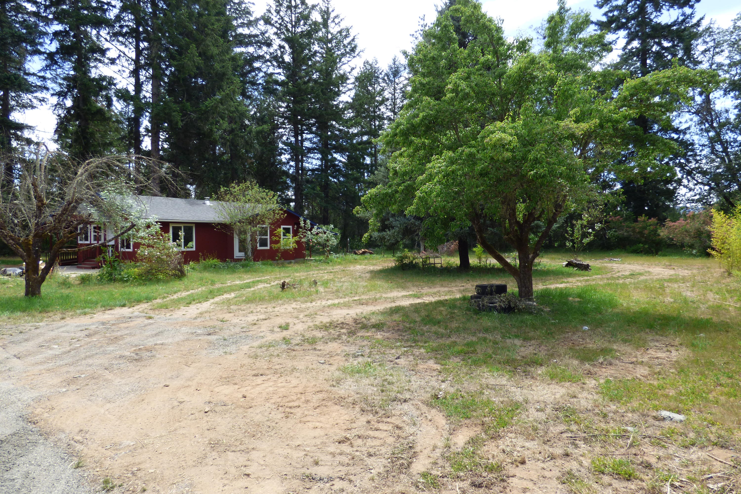 689 Hummingbird Road Cave Junction, OR 97523 - Photo 18 of 23 P1030757