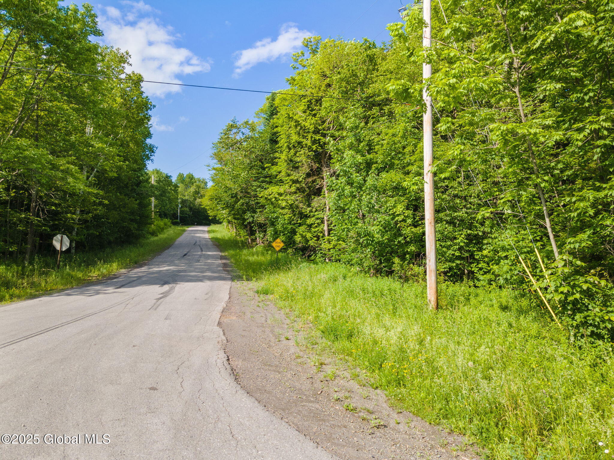 L11 Peraglie Road Jefferson, NY 12093 - Photo 3 of 17 8-PeraglieRd_08