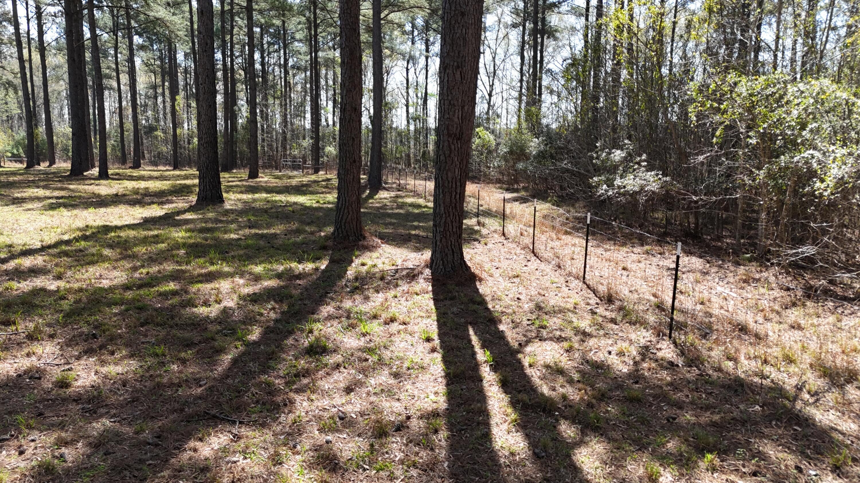 1995 Sam Nexsen Road Summerton, SC 29148 - Photo 65 of 110