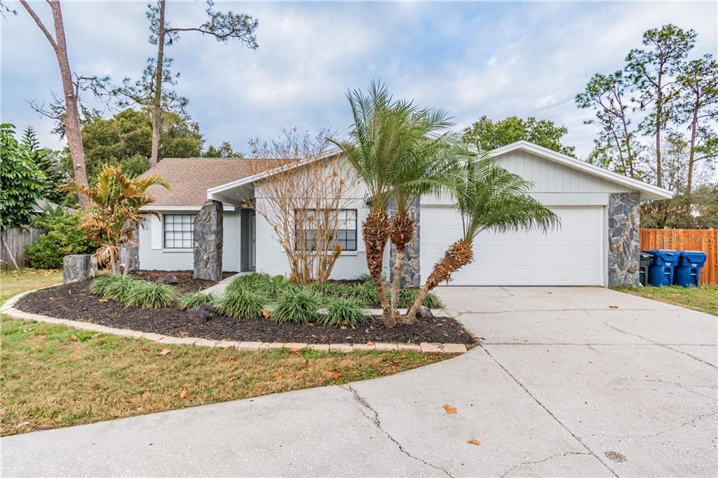 4716 Sheffield Road Land O' Lakes, FL 34639 - Photo 1 of 1 Gallery Image 1