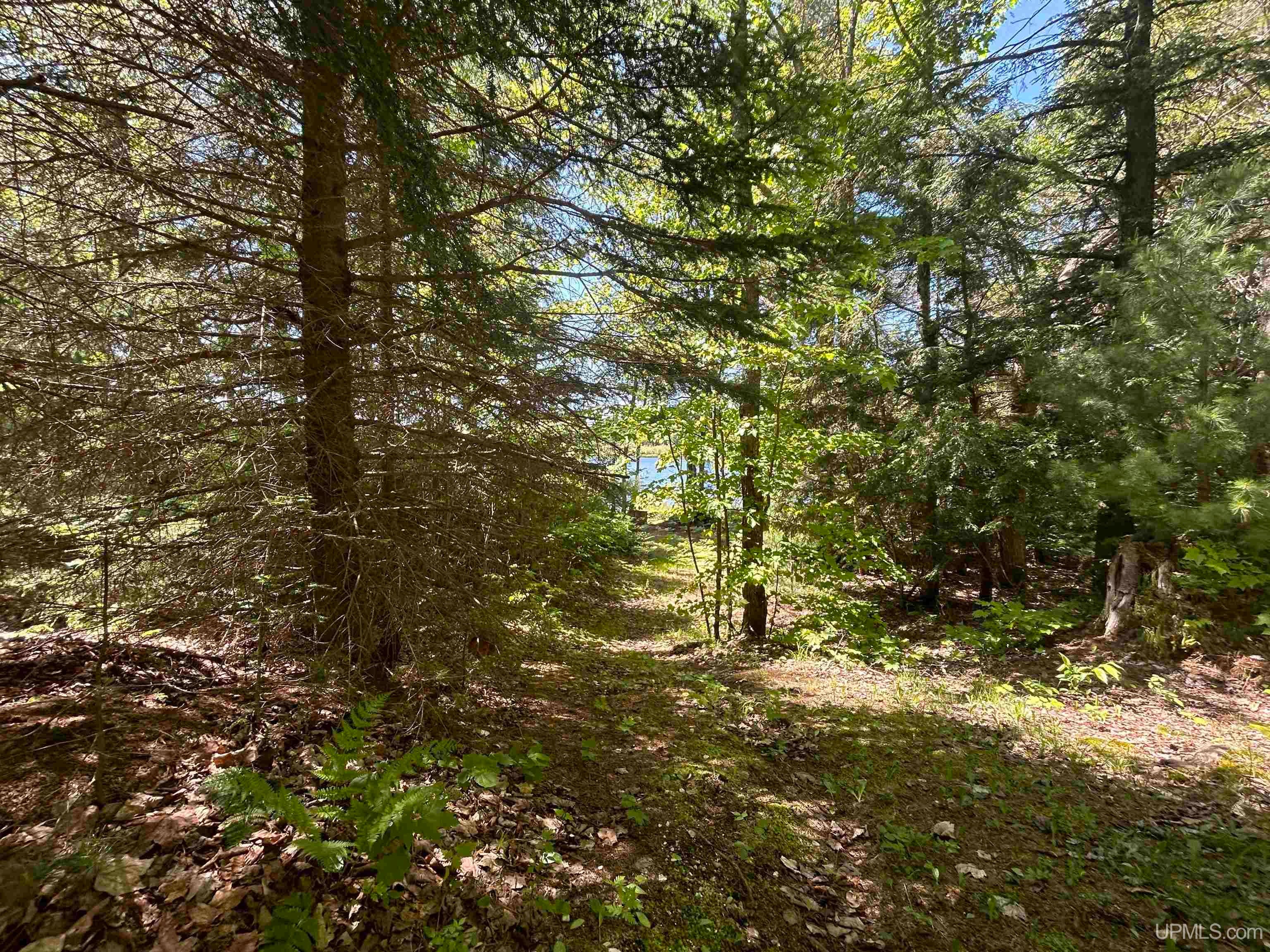 2025 Carpenter Lake Road Seney, MI 49883 - Photo 32 of 41 Gallery Image 32