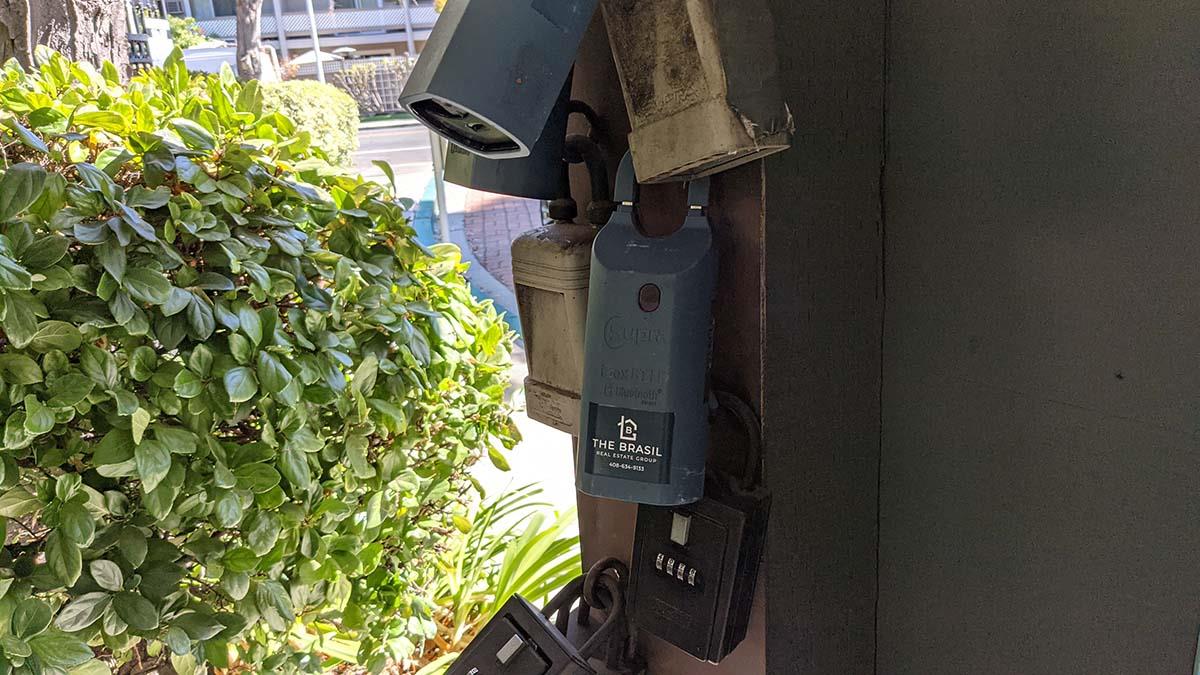 3705 Terstena Place, Unit 201 Santa Clara, CA 95051 - Photo 25 of 25 a close up of a plant