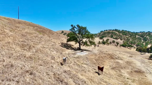 $1,995,000 | 1924 Surrey Way, Paso Robles, CA 93446