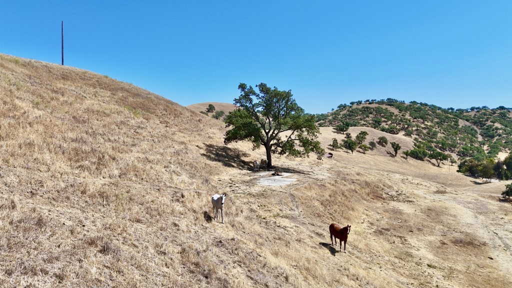 1924 Surrey Way Paso Robles, CA 93446 - Photo 37 of 42