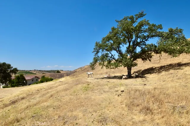 $1,995,000 | 1924 Surrey Way, Paso Robles, CA 93446