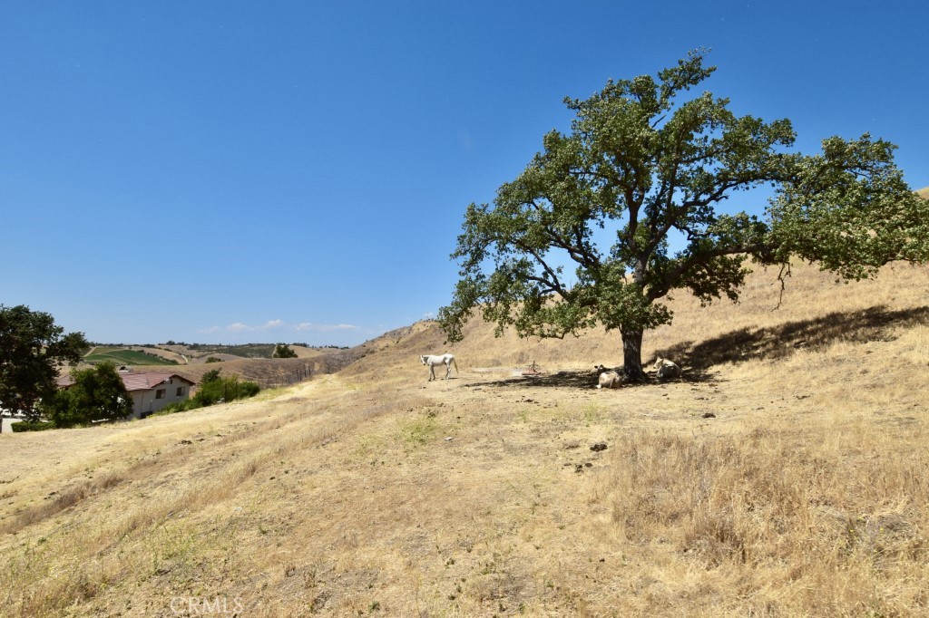 1924 Surrey Way Paso Robles, CA 93446 - Photo 39 of 42