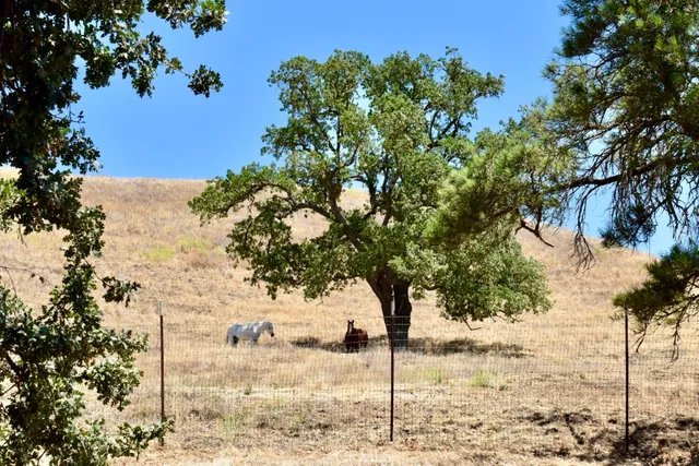 $1,995,000 | 1924 Surrey Way, Paso Robles, CA 93446