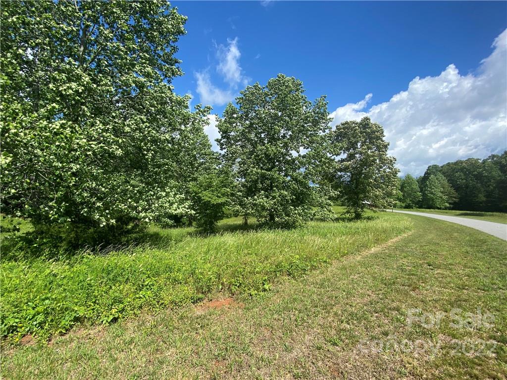 64 Summer View, Unit 64 Rutherfordton, NC 28139 - Photo 6 of 25 a view of a garden