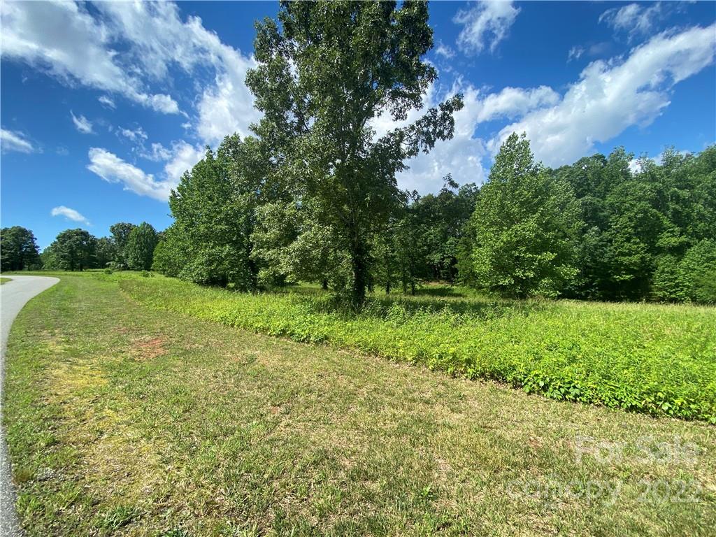 64 Summer View, Unit 64 Rutherfordton, NC 28139 - Photo 8 of 25 a view of yard with green space